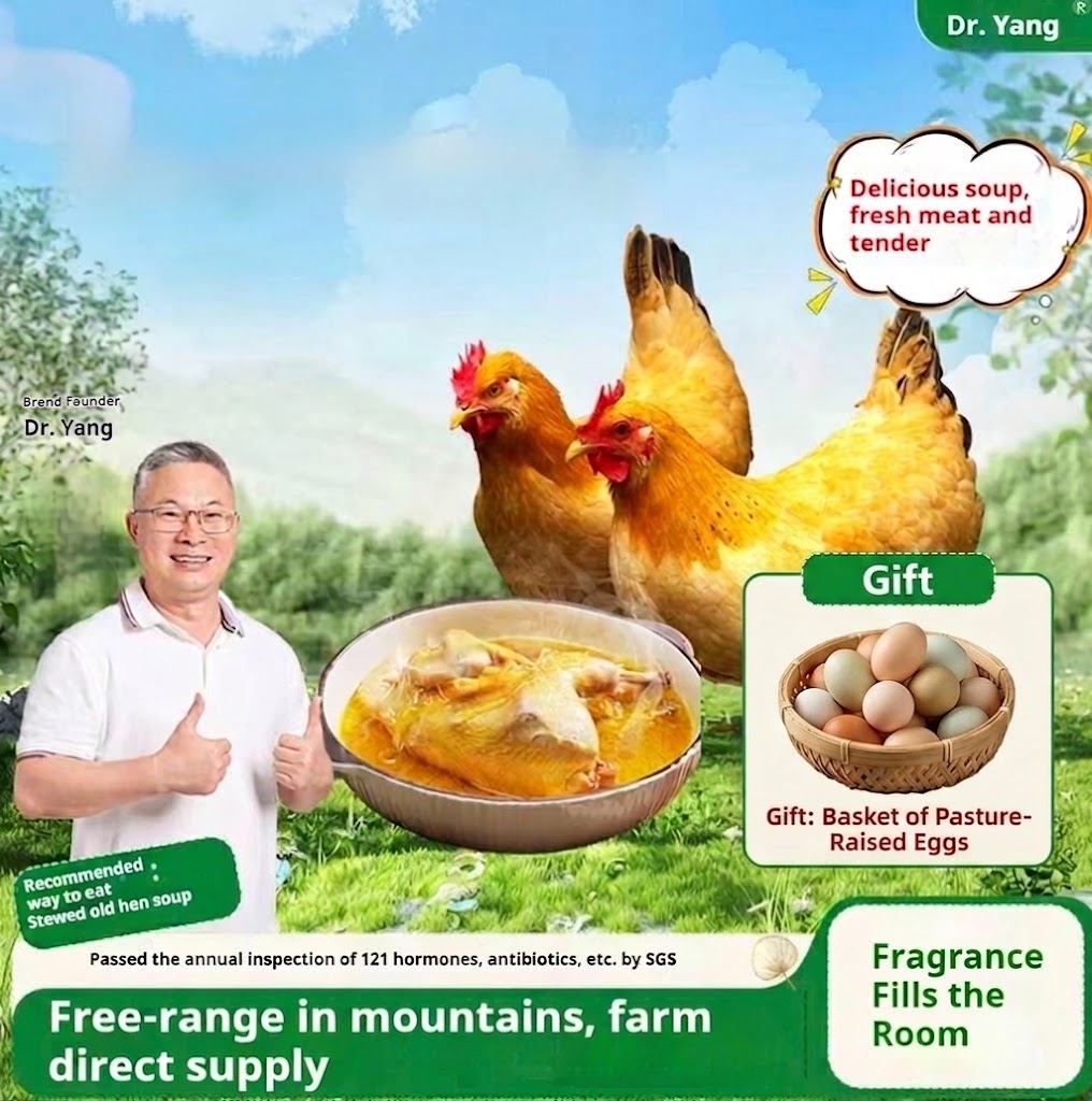 Mountain-Raised Free-Range Hen (1–1.2 yrs) – Perfect for Soups
