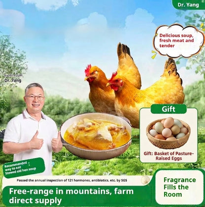 Mountain-Raised Free-Range Hen (1–1.2 yrs) – Perfect for Soups