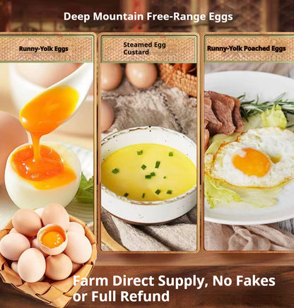 Deep Mountain Free-Range Eggs | SGS 84-Test Certified | Farm Direct Supply | No Hormones or Antibiotics | Jelly-Like Egg Whit