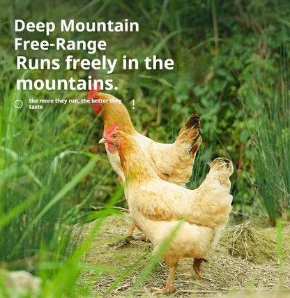 Mountain-Raised Free-Range Hen (1–1.2 yrs) – Perfect for Soups