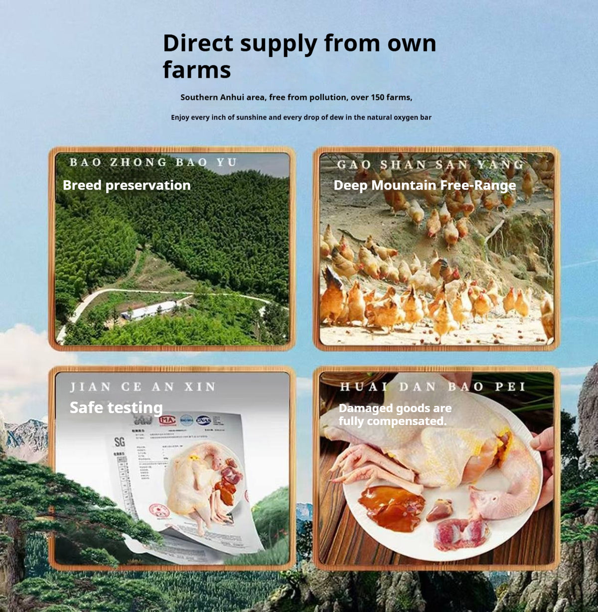 Mountain-Raised Free-Range Hen (1–1.2 yrs) – Perfect for Soups